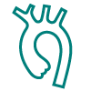 Aortic Valve icon, teal